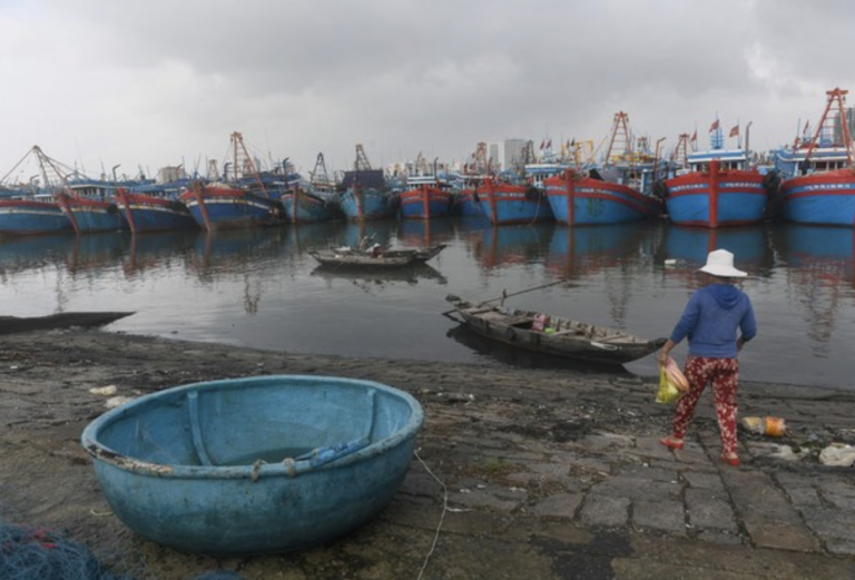 Fishery in Vietnam